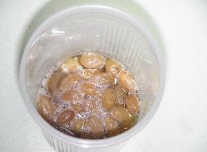 液種を起こす◆自家製天然酵母の基本-レシピのメイン写真