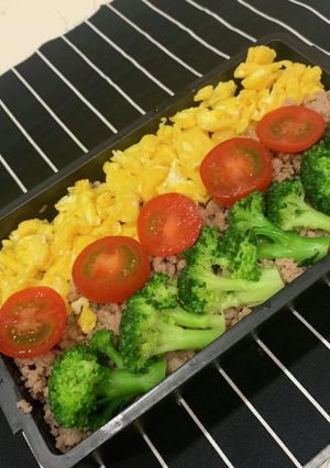 豚そぼろ弁当　2020/11/14-レシピのメイン写真