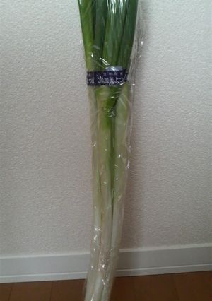 買ってきたまんま！！ネギの保存。-レシピのメイン写真