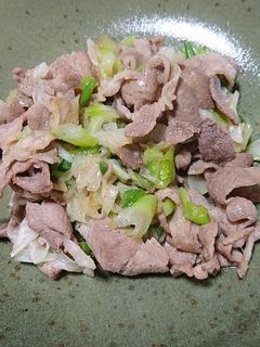 ねぎ肉炒め-レシピのメイン写真