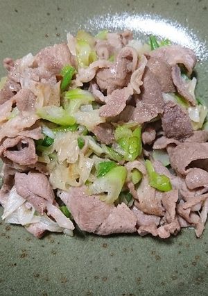 ねぎ肉炒め-レシピのメイン写真