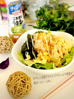 残り野菜で彩り簡単 豆腐もやしサラダ✨-レシピのメイン写真