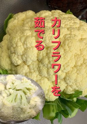 カリフラワーを茹でる-レシピのメイン写真