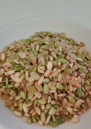 美味しい鍋炊き玄米　蒼の元米-レシピのメイン写真