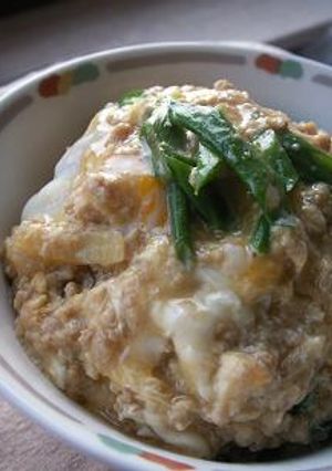 果たしてズボラか節約か!?あんかけ親子丼-レシピのメイン写真