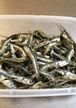 骨密度のための小魚酢漬け-レシピのメイン写真