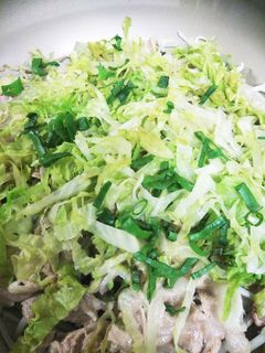 ヘルシー 豚の蒸し焼き-レシピのメイン写真
