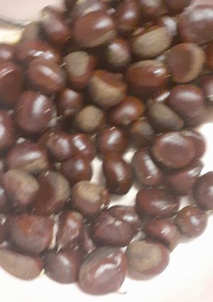 栗の下処理から甘露煮-レシピのメイン写真