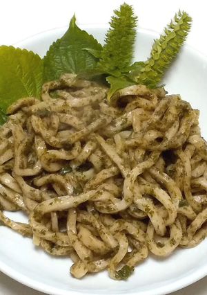 自家製エゴマのジェノベーゼ手打ちパスタ-レシピのメイン写真