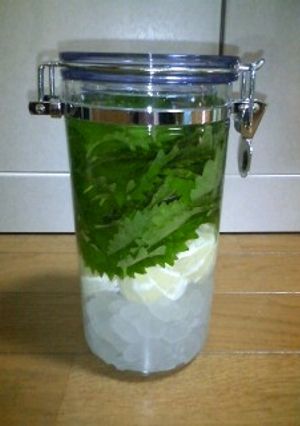 しそのお酒-レシピのメイン写真