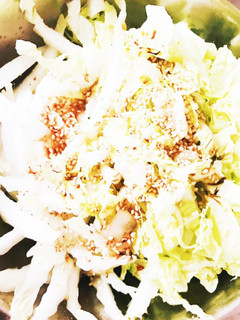 簡単!生の白菜のサラダ-レシピのメイン写真