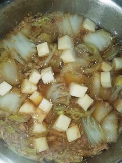 白菜とシーチキン(豆腐入り)-レシピのメイン写真