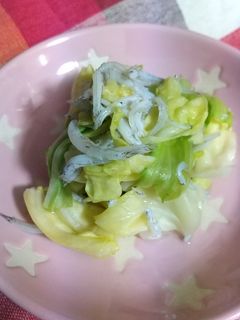 キャベツとしらすの簡単酢の物-レシピのメイン写真