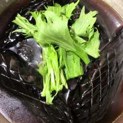 รูปของ ナスの揚げひたし