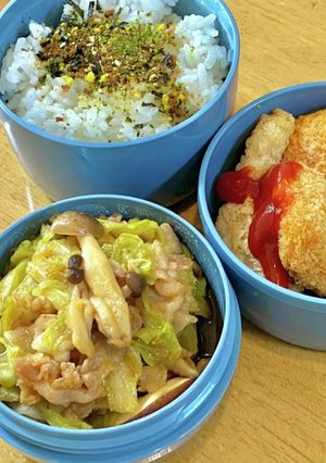 豚キャベツ炒め！　タロの弁当64-レシピのメイン写真