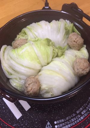 白菜のちょっと鍋☆1人鍋☆簡単^_^-レシピのメイン写真