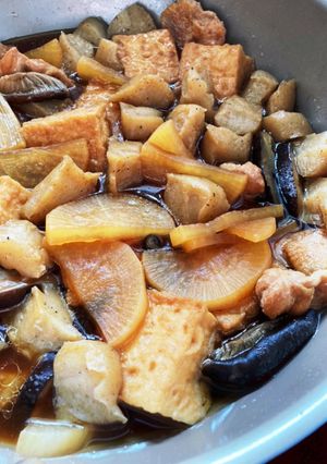 鶏肉と厚揚げと野菜の煮物-レシピのメイン写真