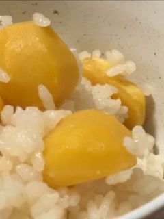 ゴロゴロ、栗ご飯!!-レシピのメイン写真