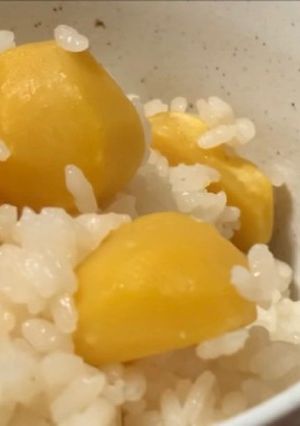 ゴロゴロ、栗ご飯！！-レシピのメイン写真