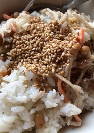 納豆とごぼうサラダのご飯-レシピのメイン写真