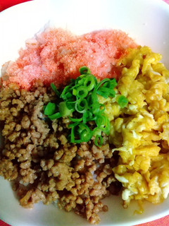 三色丼-レシピのメイン写真