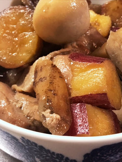 鶏肉の根菜煮-レシピのメイン写真