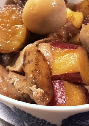 鶏肉の根菜煮-レシピのメイン写真