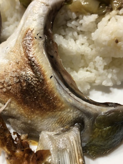 ハマチのカマ焼き-レシピのメイン写真