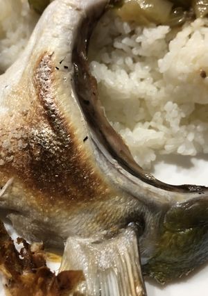 ハマチのカマ焼き-レシピのメイン写真