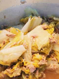 白菜のツナ煮-レシピのメイン写真