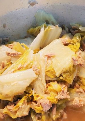 白菜のツナ煮-レシピのメイン写真