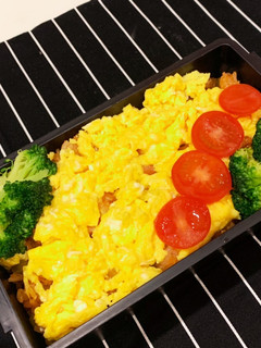 オムライス弁当 2020/11/21-レシピのメイン写真