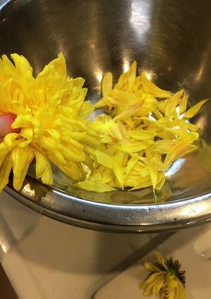 菊の花の茹で方-レシピのメイン写真