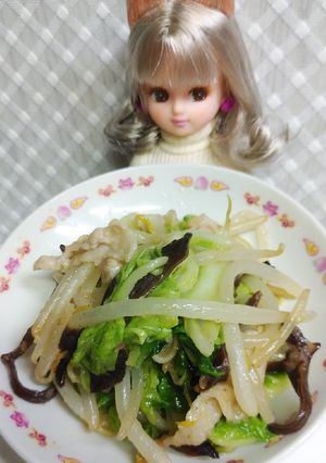 リカちゃん♡唐揚げ粉で白菜もやし野菜炒め-レシピのメイン写真