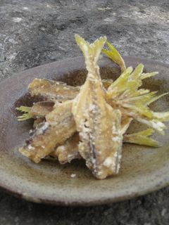 骨honeせんべい-レシピのメイン写真