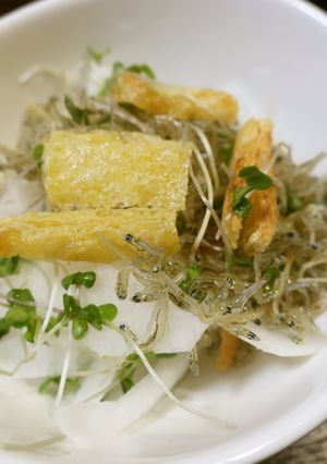 大根とジャコと油揚げのサラダ-レシピのメイン写真