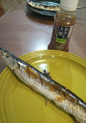 サンマの塩焼きおろし大根ゆずを添えて-レシピのメイン写真