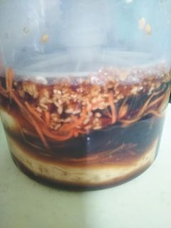 漬け物器で漬ける、干し大根の醤油麹漬け-レシピのメイン写真