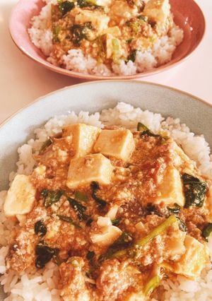 確実においしい麻婆豆腐-レシピのメイン写真