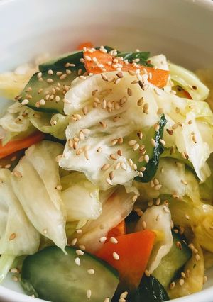 残り野菜で簡単浅漬け-レシピのメイン写真