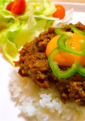 カルディのカレー粉で☆簡単キーマカレー☆-レシピのメイン写真