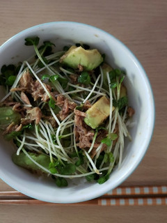 アボカドとツナの丼-レシピのメイン写真