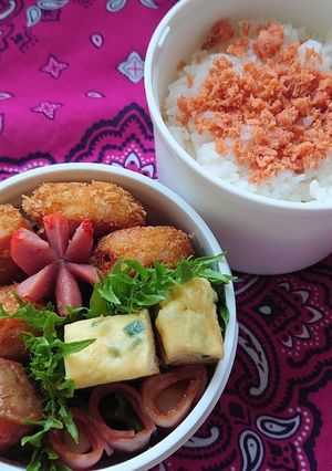 ❜20/11/24 ハムカツ弁当-レシピのメイン写真