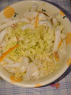簡単白菜の和え物-レシピのメイン写真