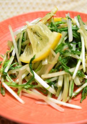水菜の浅漬け風サラダ-レシピのメイン写真