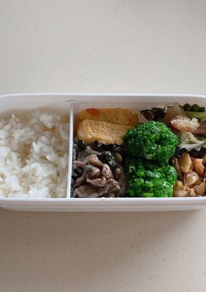 2020.1124 お弁当記録-レシピのメイン写真