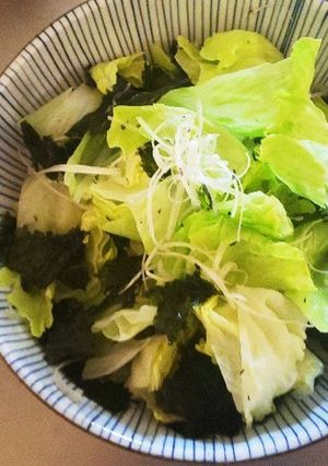 ずぼらの作るチョレギサラダ-レシピのメイン写真