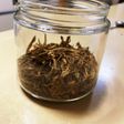ごぼう茶
