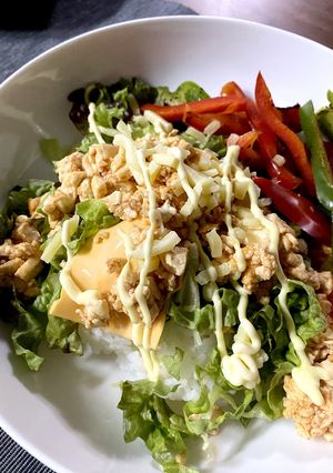 ズボラ、節約、ヘルシー、豆腐タコライス-レシピのメイン写真