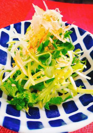 ♪かいわれと大根の茎のくるりんサラダ♪-レシピのメイン写真